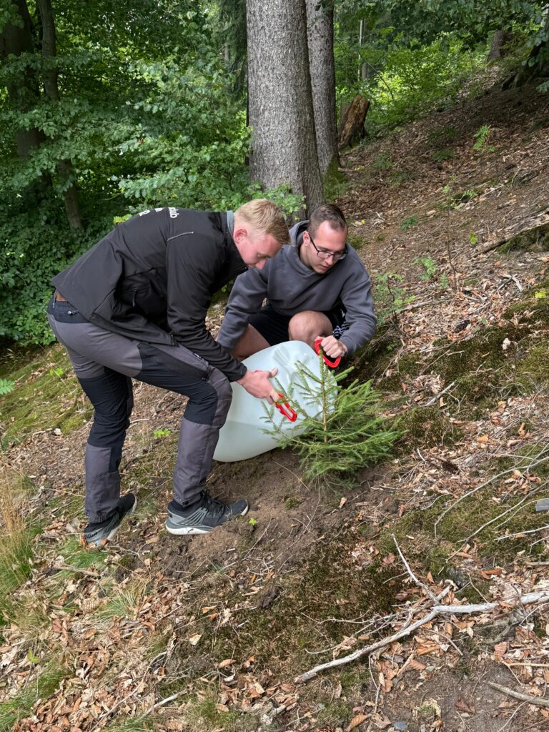 Baum gepflanzt im Lohwald – unsere Teilnahme an der Baumpflanz-Challenge 4 WhatsApp Image 2025 08 31 at 14.24.59 | Burschenclub Usseln 1612